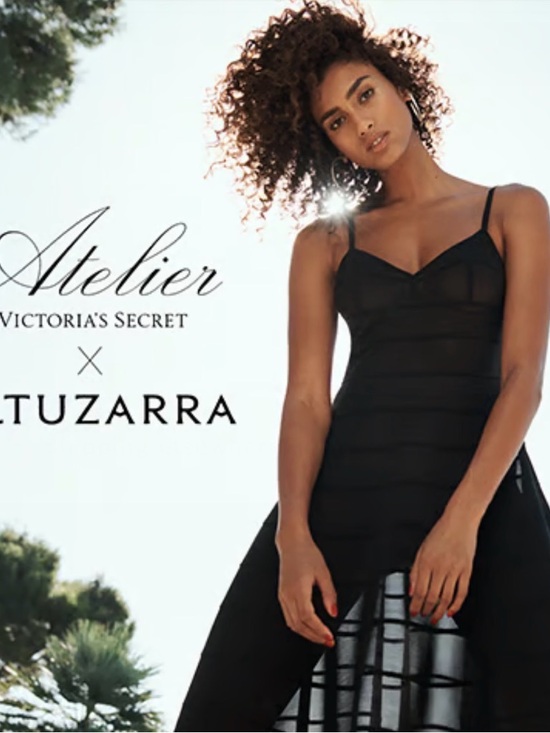 Victoria's Secret Dresses & Skirts - Victoria Secret Atelier x Altuzarra Sheer Panels Mesh Dress